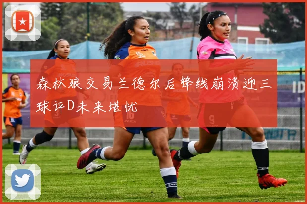 森林狼交易兰德尔后锋线崩溃迎三球评D未来堪忧